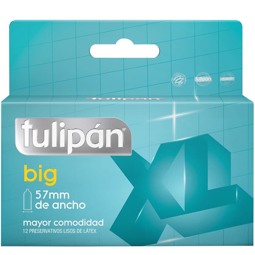 Tulipan Big